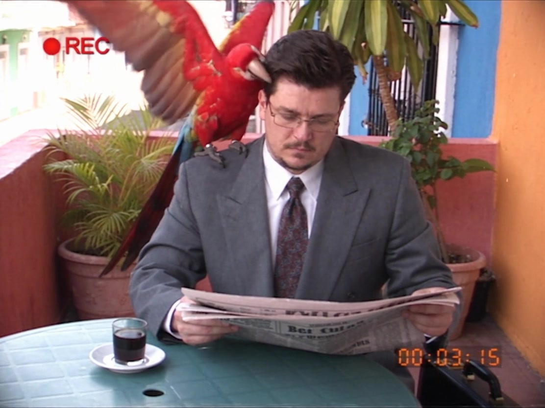 VHS still: a red macaw lands on the head of a man in a grey suit reading a newspaper at a café table. He keeps reading.
